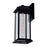 CWI Blackbridge 1 Light 16"H Outdoor Wall Light, Black/Clear