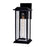 CWI Blackbridge 1 Light 16"H Outdoor Wall Light, Black/Clear