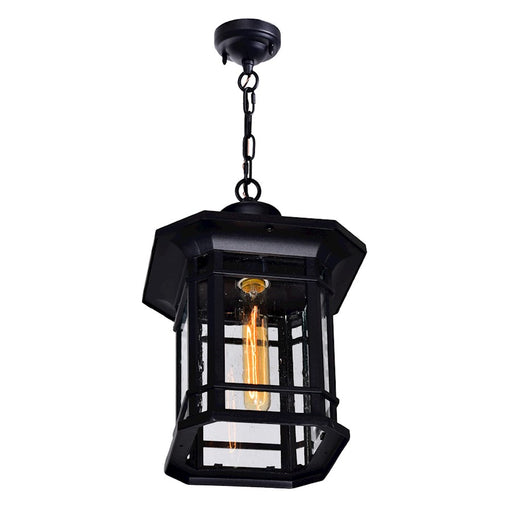 CWI Lighting Blackburn 1 Light Outdoor Pendant, Black/Seedy