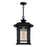 CWI Lighting Blackburn 1 Light Outdoor Pendant, Black/Seedy