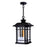 CWI Lighting Blackburn 1 Light Outdoor Pendant, Black/Seedy