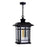 CWI Lighting Blackburn 1 Light Outdoor Pendant, Black/Seedy
