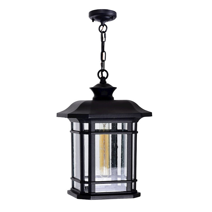 CWI Lighting Blackburn 1 Light Outdoor Pendant, Black/Seedy