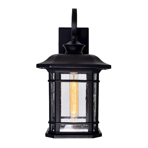 CWI Blackburn 1 Light 17"H Outdoor Wall Light, Black/Seedy