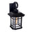 CWI Blackburn 1 Light 17"H Outdoor Wall Light, Black/Seedy