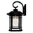 CWI Lighting Blackburn 1 Light Outdoor Wall Light, Black/Seedy