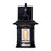 CWI Blackburn 1 Light 12"H Outdoor Wall Light, Black/Seedy