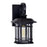 CWI Blackburn 1 Light 12"H Outdoor Wall Light, Black/Seedy