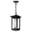 CWI Granville 1 Light Outdoor Hanging Light, Black/Frosted - 0412P7-1-101