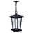 CWI Lighting Leawood 1 Light Outdoor Hanging Light, Black/Clear - 0413P8-1-101