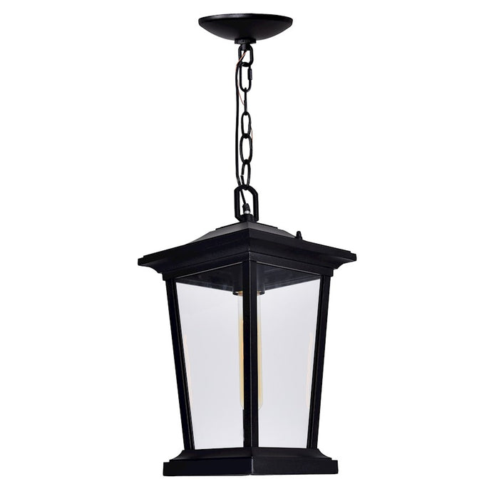 CWI Lighting Leawood 1 Light Outdoor Hanging Light, Black/Clear