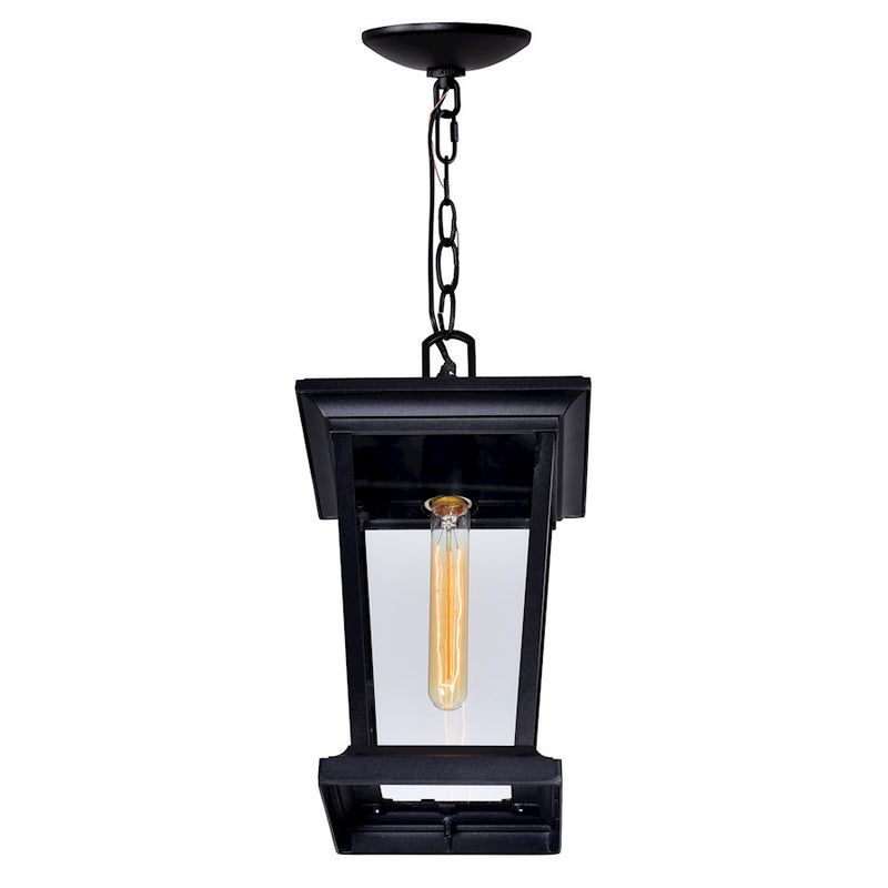 CWI Lighting Leawood 1 Light Outdoor Hanging Light, Black/Clear