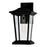 CWI Lighting Leawood 1 Light 15"H Outdoor Wall Light, Black/Clear