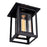 CWI Winfield 1 Light Outdoor Hanging Light, Black/Clear