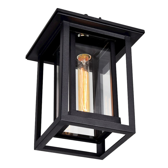 CWI Winfield 1 Light Outdoor Hanging Light, Black/Clear