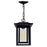 CWI Winfield 1 Light Outdoor Hanging Light, Black/Clear