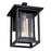 CWI Lighting Winfield 1 Light Outdoor Wall Light, Black/Clear