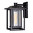 CWI Lighting Winfield 1 Light Outdoor Wall Light, Black/Clear