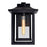 CWI Lighting Winfield 1 Light Outdoor Wall Light, Black/Clear