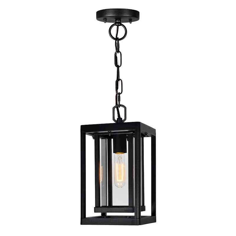 CWI Lighting Mulvane 1 Light Outdoor Hanging Light, Black/Clear