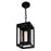 CWI Lighting Mulvane 1 Light Outdoor Hanging Light, Black/Clear