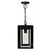 CWI Lighting Mulvane 1 Light Outdoor Hanging Light, Black/Clear