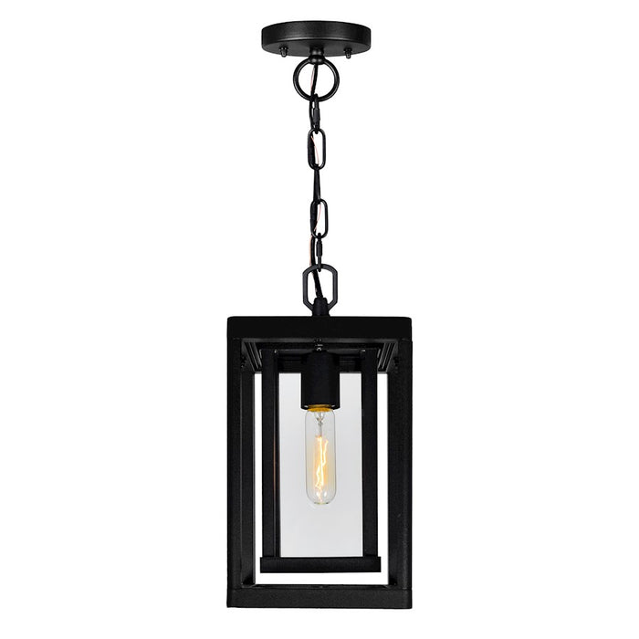 CWI Lighting Mulvane 1 Light Outdoor Hanging Light, Black/Clear