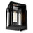 CWI Lighting Mulvane 1 Light Outdoor Wall Light, Black/Clear