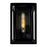 CWI Lighting Mulvane 1 Light Outdoor Wall Light, Black/Clear