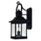 CWI Lighting Cleveland 2 Light Outdoor Wall Light, Black/Clear