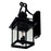 CWI Lighting Cleveland 2 Light Outdoor Wall Light, Black/Clear