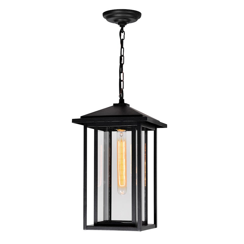 CWI Lighting Crawford 1 Light Outdoor Hanging Light, Black/Clear