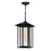 CWI Lighting Crawford 1 Light Outdoor Hanging Light, Black/Clear - 0417P9-1-101