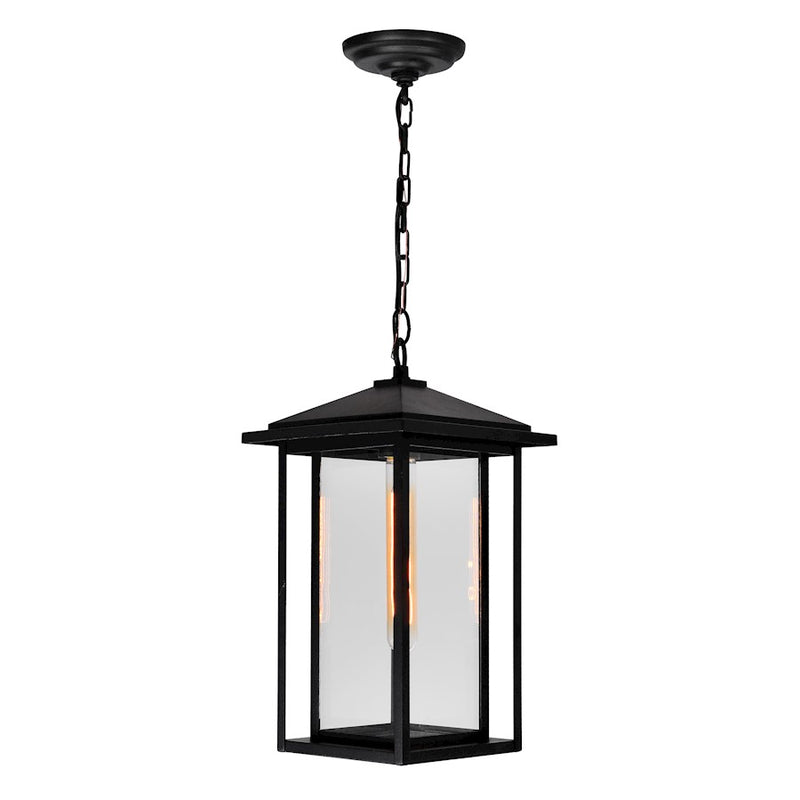 CWI Lighting Crawford 1 Light Outdoor Hanging Light, Black/Clear