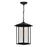 CWI Lighting Crawford 1 Light Outdoor Hanging Light, Black/Clear