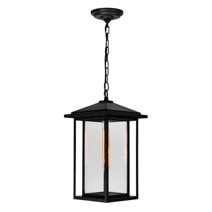 CWI Lighting Crawford 1 Light Outdoor Hanging Light, Black/Clear