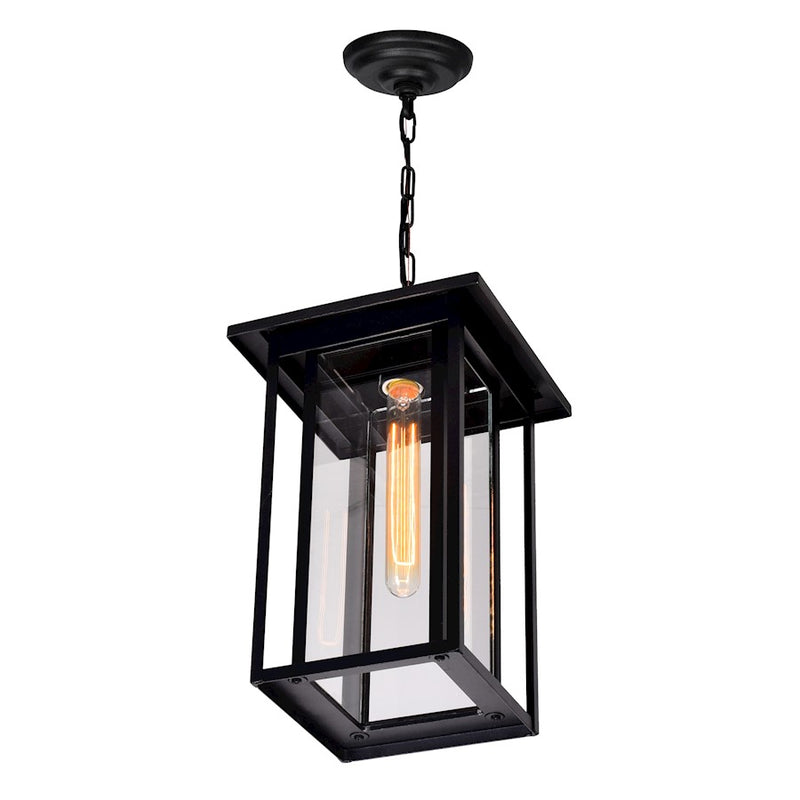 CWI Lighting Crawford 1 Light Outdoor Hanging Light, Black/Clear