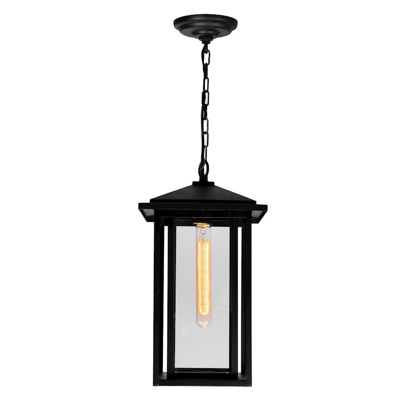 CWI Lighting Crawford 1 Light Outdoor Hanging Light, Black/Clear