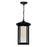 CWI Lighting Crawford 1 Light Outdoor Hanging Light, Black/Clear
