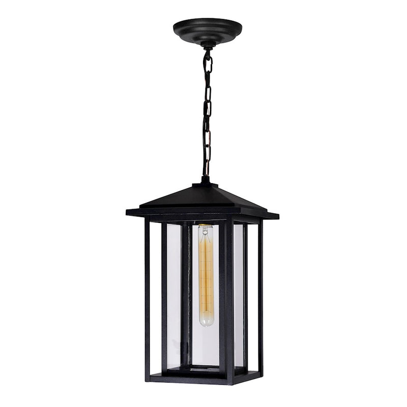 CWI Lighting Crawford 1 Light Outdoor Hanging Light, Black/Clear