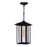 CWI Lighting Crawford 1 Light Outdoor Hanging Light, Black/Clear