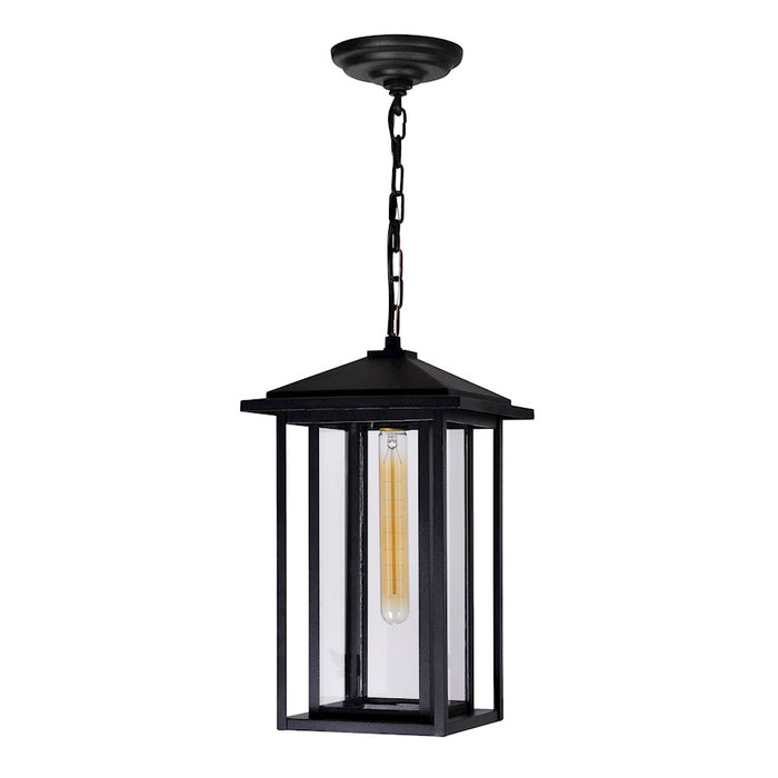 CWI Lighting Crawford 1 Light Outdoor Hanging Light, Black/Clear