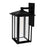 CWI Crawford 1 Light 22"H Outdoor Wall Light, Black/Clear