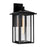 CWI Crawford 1 Light 22"H Outdoor Wall Light, Black/Clear