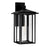 CWI Crawford 1 Light 22"H Outdoor Wall Light, Black/Clear