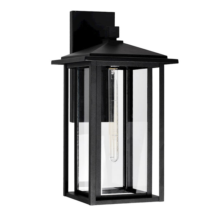 CWI Crawford 1 Light 22"H Outdoor Wall Light, Black/Clear