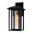 CWI Crawford 1 Light 14"H Outdoor Wall Light, Black/Clear