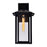 CWI Crawford 1 Light 18"H Outdoor Wall Light, Black/Clear
