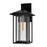 CWI Crawford 1 Light 18"H Outdoor Wall Light, Black/Clear