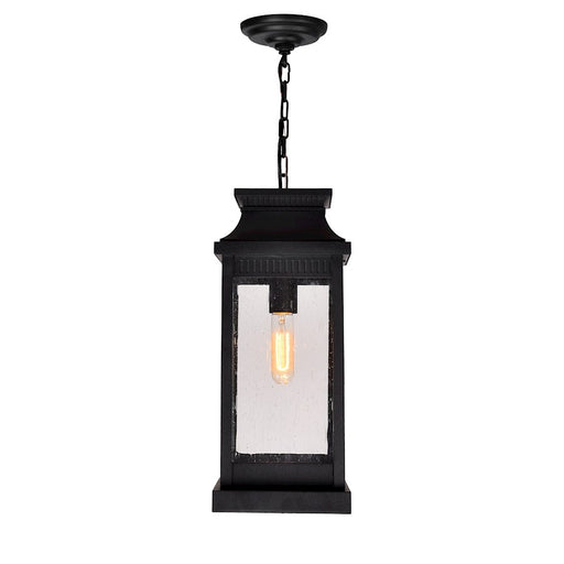 CWI Lighting Milford 1 Light 20"H Outdoor Pendant, Black/Seedy